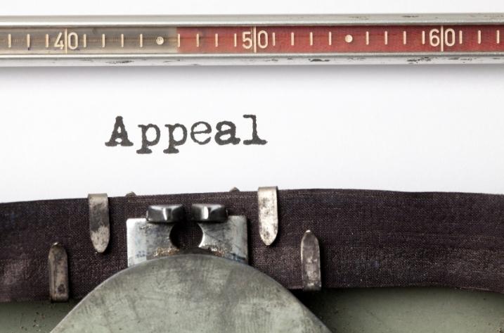 How Does the DCFS Appeal Process Work in Illinois