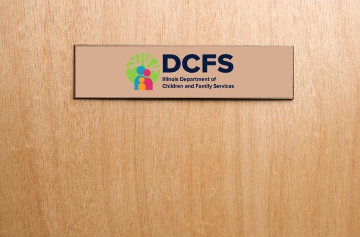 Understanding The Illinois Department of Children and Family Services