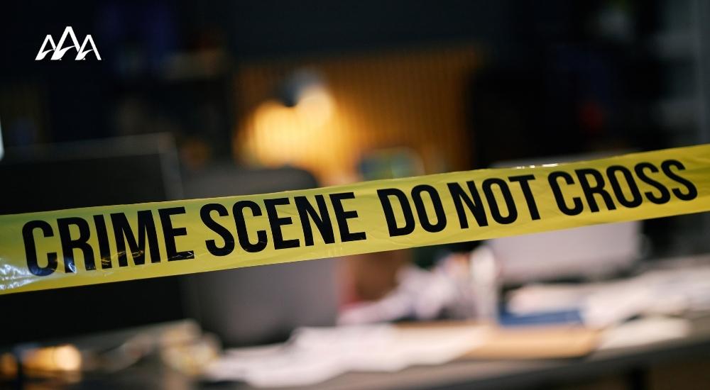 Illinois Felony Defense Attorneys