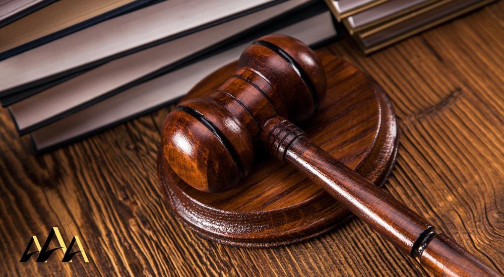 Kane County DCFS Appeal Attorney